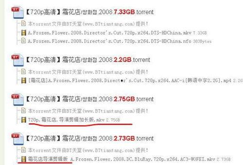 霜花店无删减在线观看,全版揭秘，无删减剧情深度解析