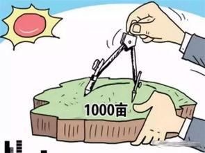 土地纠纷媒体爆料案例最新,媒体曝光下的权属争议解决之道