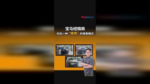 大连探店爆料视频最新网站,盘点近期热门美食打卡地