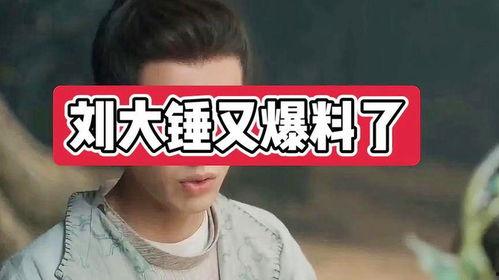 刘大锤今日爆料的是谁,揭秘神秘人物身份大揭秘！