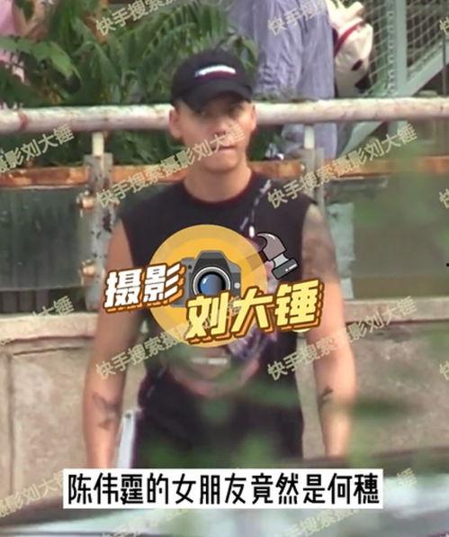 刘大锤爆料图合集视频,揭秘娱乐圈幕后真相