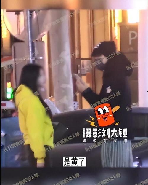 刘大锤爆料图合集视频,揭秘娱乐圈幕后真相