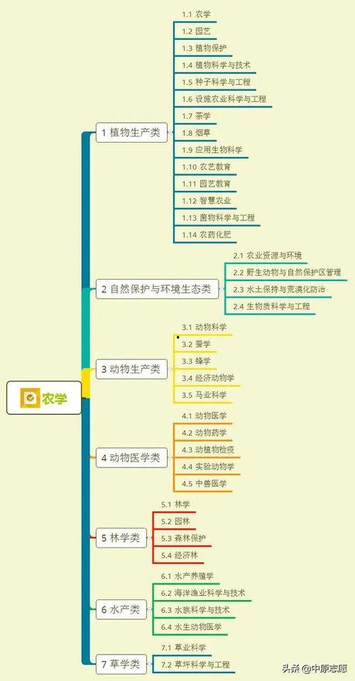 丹东饭店爆料视频大全集,揭秘事件真相与幕后黑幕