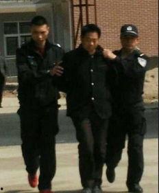 武清记者爆料新闻最新情况,揭秘事件背后惊人真相