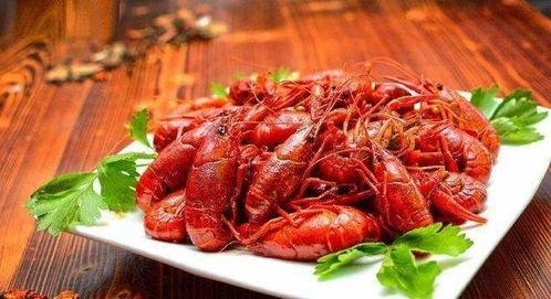 小龙虾探店爆料视频大全,小龙虾探店视频大全精彩回顾