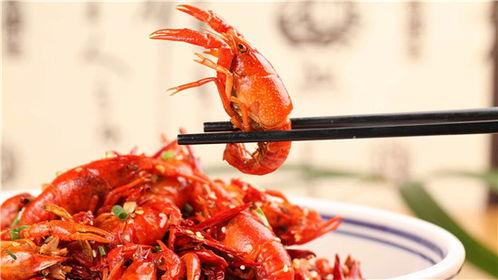 小龙虾探店爆料视频大全,小龙虾探店视频大全精彩回顾
