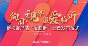临沂今日爆料新闻视频,惊曝重大事件，详情即将揭晓！