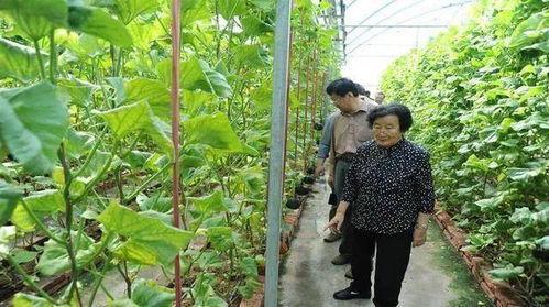 南充吃瓜最新事件爆料是真的吗,最新爆料真相揭秘