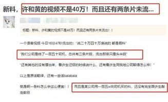 外网爆料房地产骗局视频,外网爆料视频揭露惊人内幕