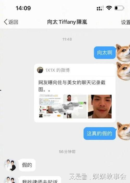 娱记爆料小鬼是谁啊视频,小鬼身份曝光，视频爆料引发热议