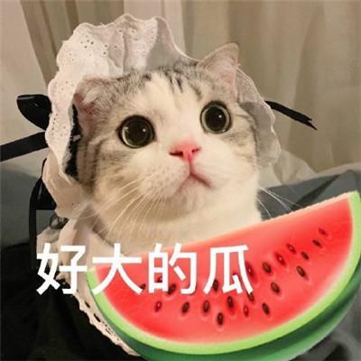 吃瓜韩姓网红是谁呀,吃瓜韩姓网红的真实身份！